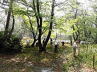 グラウンド北一帯での作業
