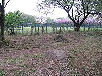 グラウンド北作業後