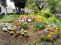 見事に咲きそろった花々